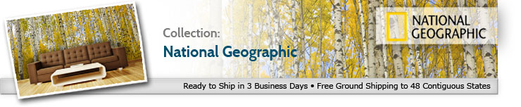 National Geographic National Geographic