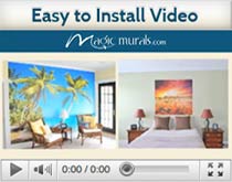 How to install video