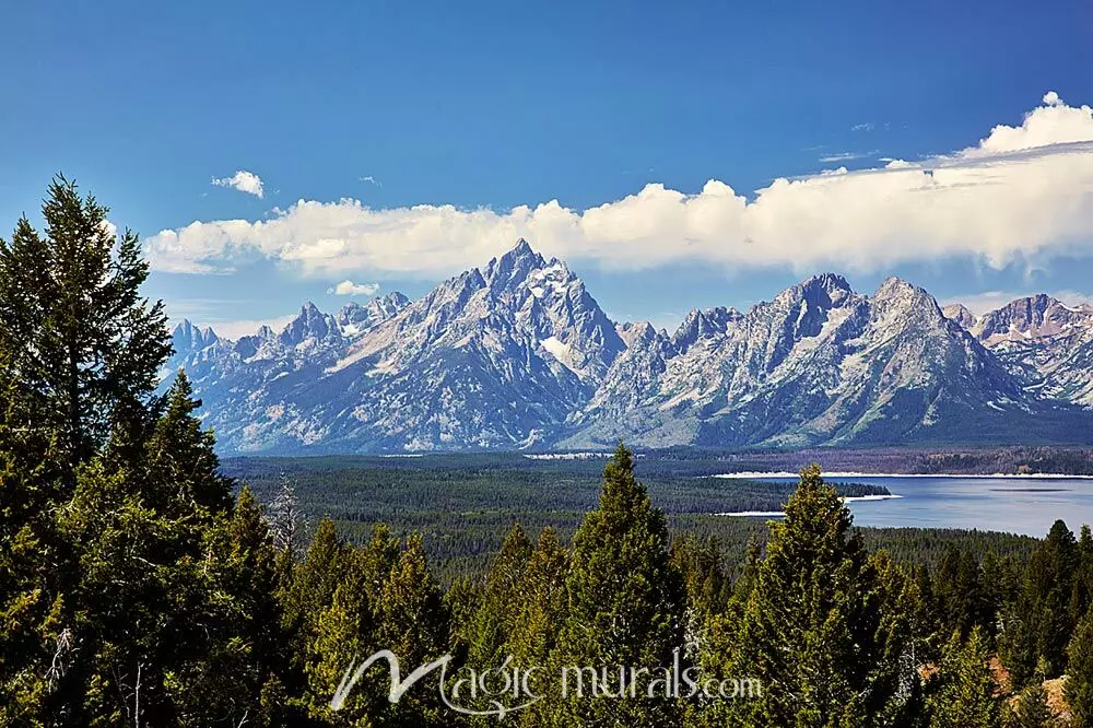 Grand Teton National Park 2 Wallpaper Mural by Magic Murals