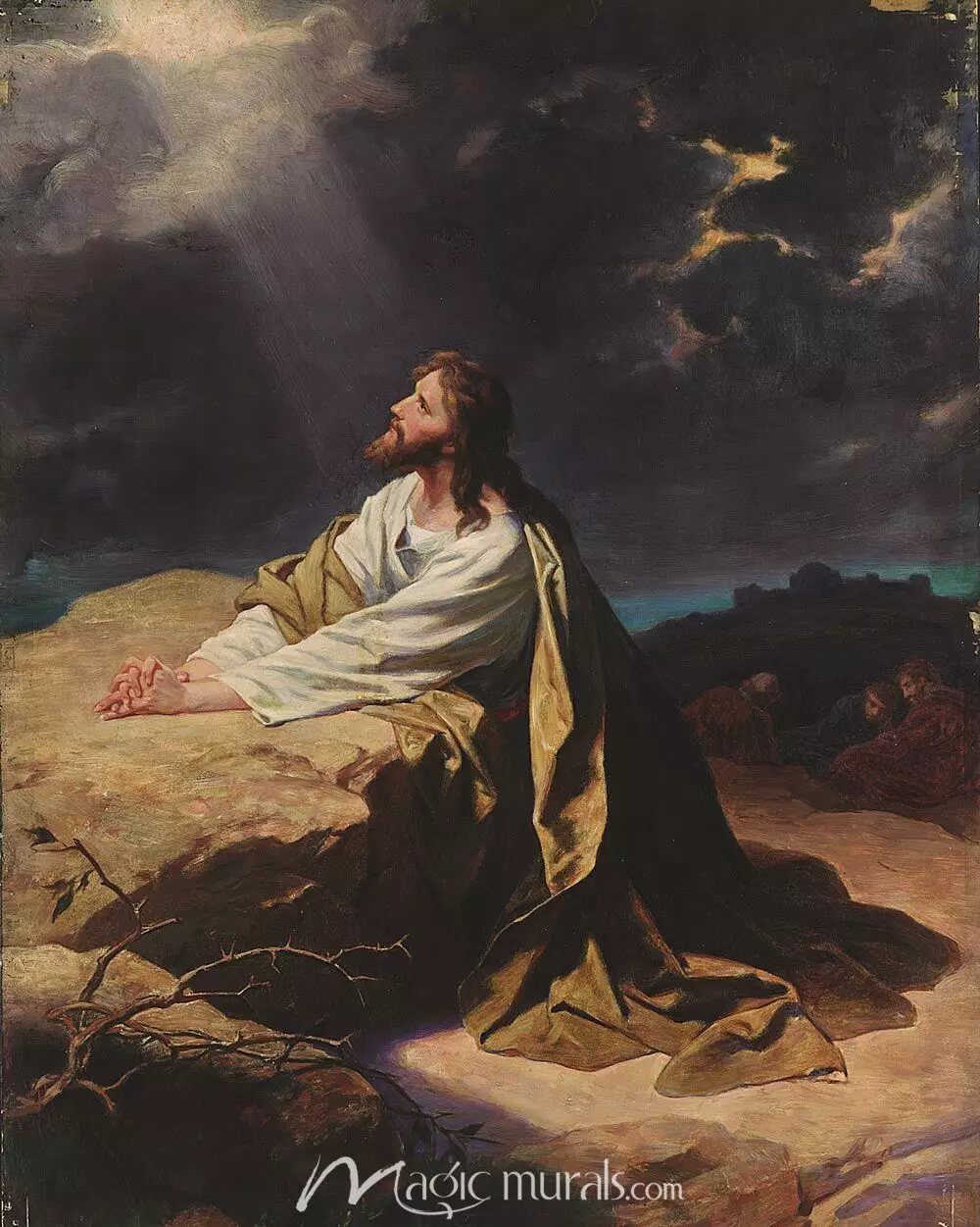 Jesus in Gethsemane Wallpaper Wall Mural by Magic Murals