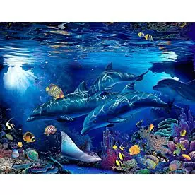 Dolphin Murals & Whale Murals - MagicMurals.com
