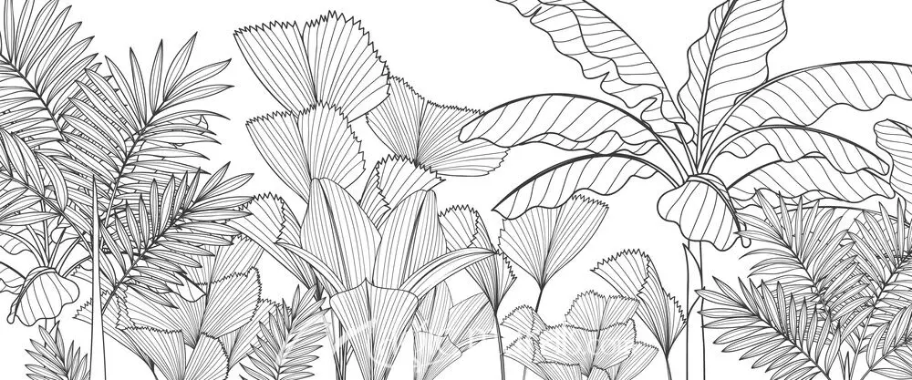 Tropical Plant Line Art 3089 Wallpaper Mural by Magic Murals