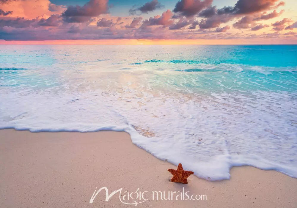 starfish on beach wallpaper