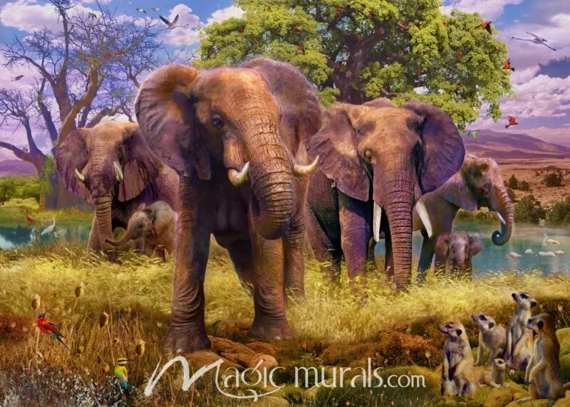 elephants wallpaper wall