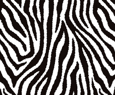 Animal Patterns