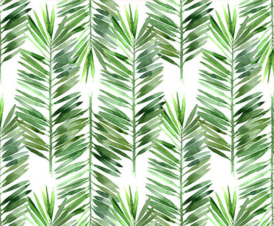 Nature Patterns