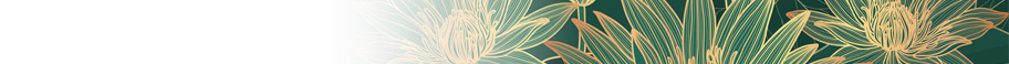 Patterns & Textures Patterns & Textures