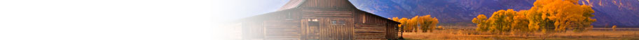 Barns Barns