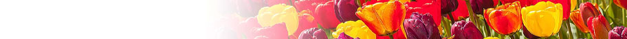 Botanical & Nature Botanical & Nature