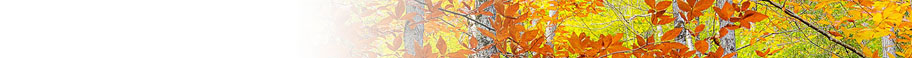 Fall & Winter Fall & Winter