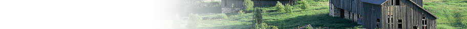 Farm Scenes Farm Scenes