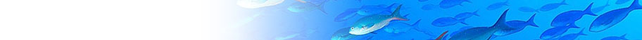 Fish & Marine Life Fish & Marine Life