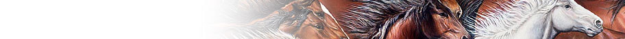Horses Horses