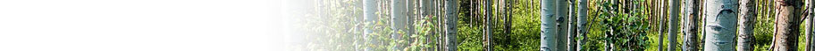 Trees Trees