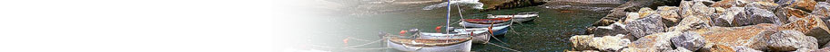 Harbors Harbors