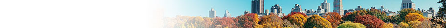 New York New York