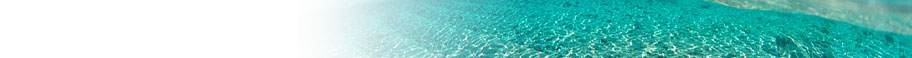 Other Beach & Tropical Scenes Other Beach & Tropical Scenes