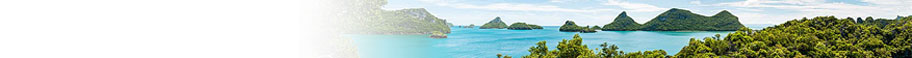 XL Beach & Tropical XL Beach & Tropical