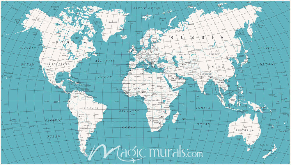 Africa-Centered World Map with Graticule Magic Murals