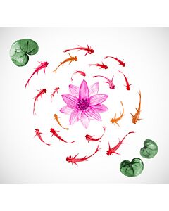 Asian Fish and Lotus Flower Wallpaper Wall Mural