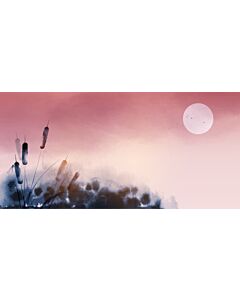 Cattail in Dusty Rose Sunset 6704 Wallpaper Wall Mural