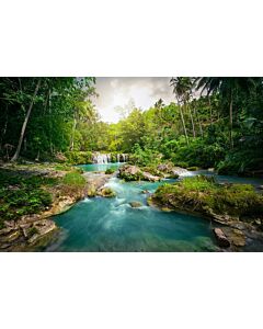 Deep Forest Waterfall