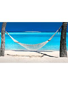 Dream Hammock