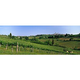 Tuscany Italy Wallpaper Wall Mural