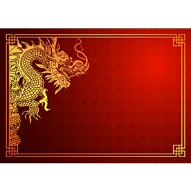 Single Dragon Wallpaper 8095 Wallpaper Wall Mural