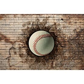 Baseball Wall Break - Clearance 1148