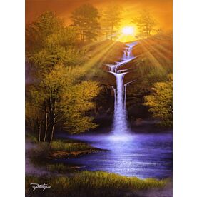 Midsummer Dream - Clearance 1241