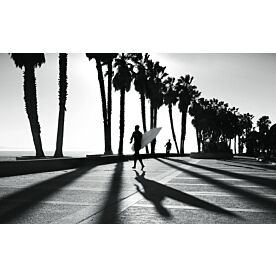 C Street Shadowland - Clearance 1295