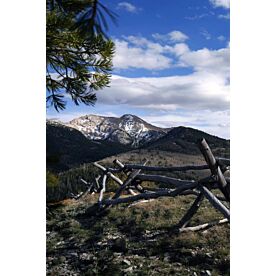 Mountain View - Clearance 1297
