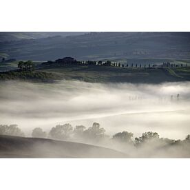 Misty Landscape at Sunrise - Clearance 1318