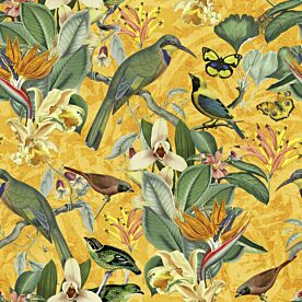 Haase Birds Happy Summer