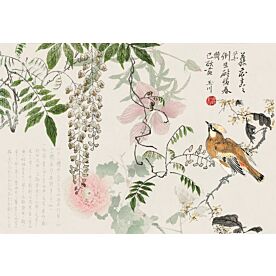 Haase Wisteria Chinoiserie Wallpaper Wall Mural