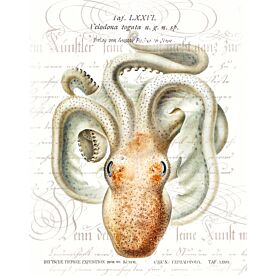 Octopus Two Wallpaper Wall Mural