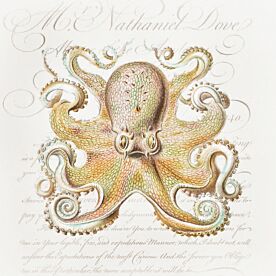 Octopus Four Wallpaper Wall Mural