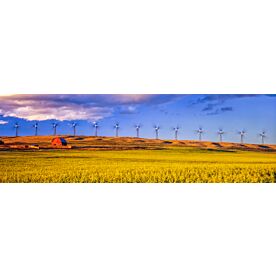 Canola Field Wind Farm 3041 Wallpaper Wall Mural