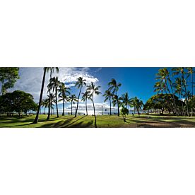 Waikiki Palms 14-17 Wallpaper Wall Mural