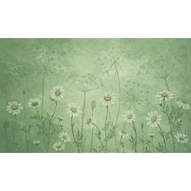 Dazzling Daisies Green by Sir Edward Wallpaper Wall Mural