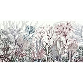Ocean Wonders by Sir Edward Wallpaper Wall Mural