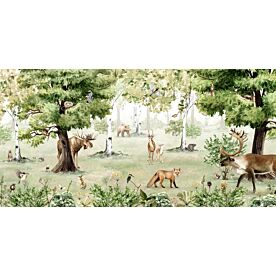 Woodland Wonders by Kikki Belle Wallpaper Wall Mural