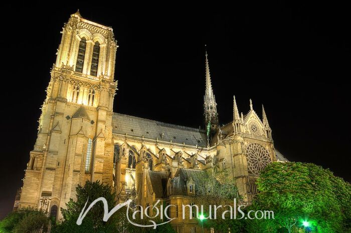 Notre Dame Cathedral At Night Wallpaper Mural by Magic Murals