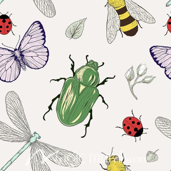 Insect Pattern Wallpaper Wall Mural by Magic Murals