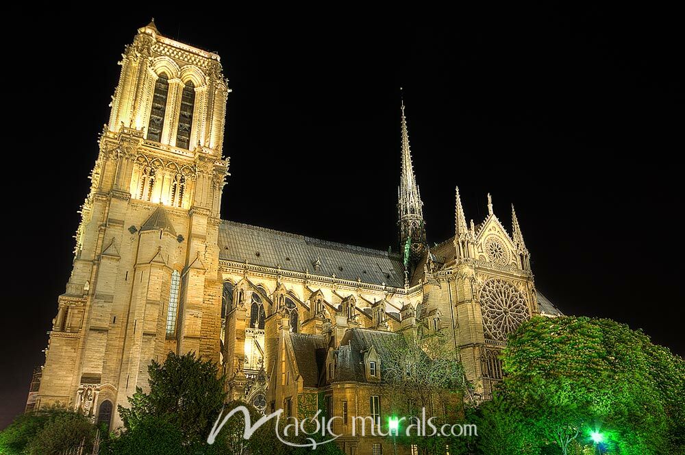 Notre Dame Cathedral At Night Wallpaper Mural by Magic Murals