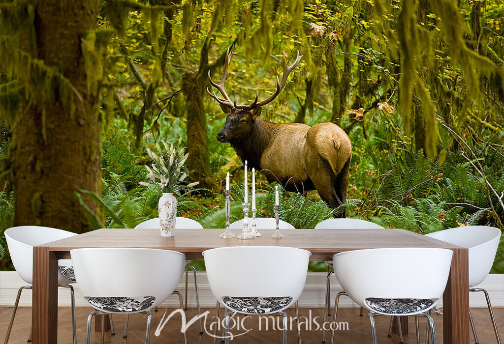 Bull Roosevelt Elk Wallpaper Wall Mural by Magic Murals