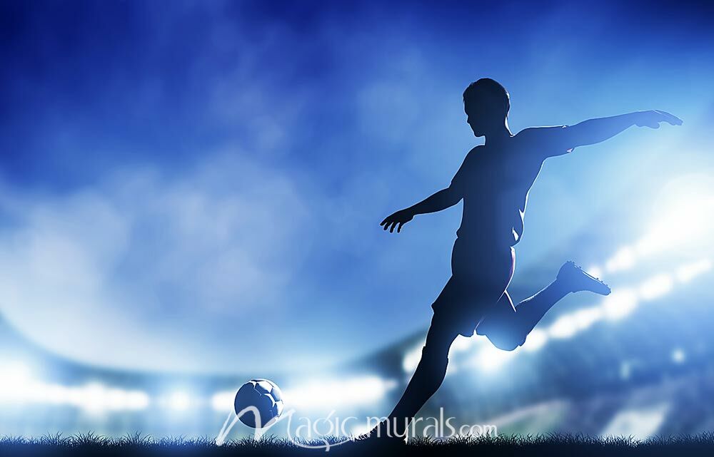 Soccer Silhouette Wallpaper Wall Mural By Magic Murals soccer-silhouette-wallpaper-wall-mural-by-magic-murals