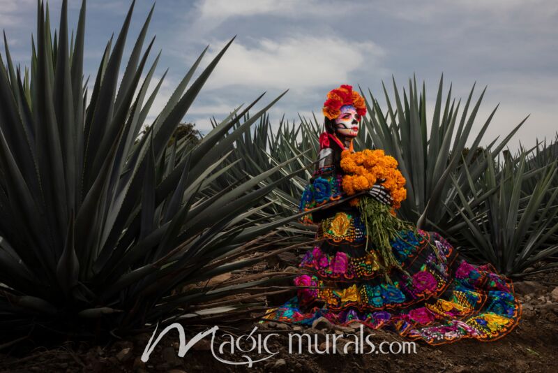Catrina de Jalisco 5291 Wallpaper Wall Mural