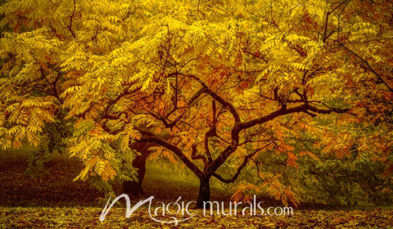Autumn Elegance 1160 Wallpaper Wall Mural